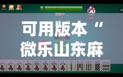 可用版本“微乐山东麻将怎么才能常赢”分享装挂详细步骤