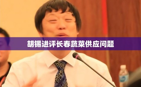 胡锡进评长春蔬菜供应问题