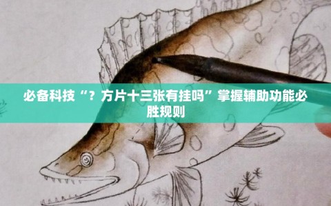 必备科技“？方片十三张有挂吗”掌握辅助功能必胜规则