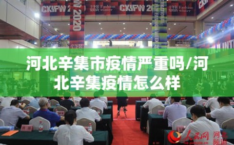 河北辛集市疫情严重吗/河北辛集疫情怎么样
