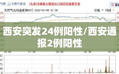 西安突发24例阳性/西安通报2例阳性