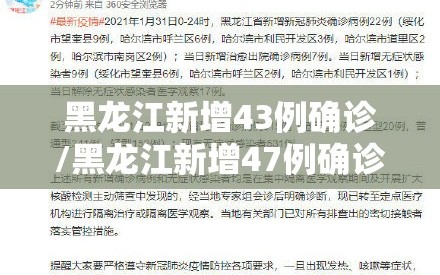 黑龙江新增43例确诊/黑龙江新增47例确诊?