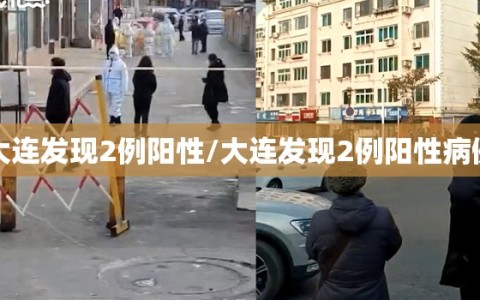大连发现2例阳性/大连发现2例阳性病例