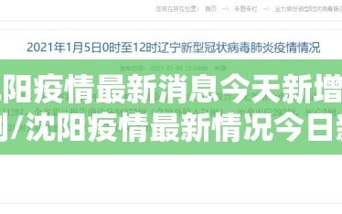 沈阳疫情最新消息今天新增病例/沈阳疫情最新情况今日新增