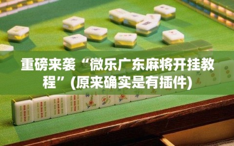 重磅来袭“微乐广东麻将开挂教程”(原来确实是有插件)