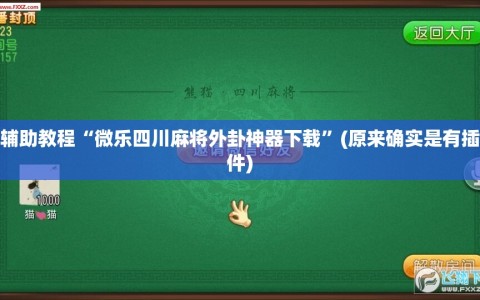 辅助教程“微乐四川麻将外卦神器下载”(原来确实是有插件)