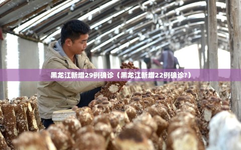 黑龙江新增29例确诊（黑龙江新增22例确诊?）