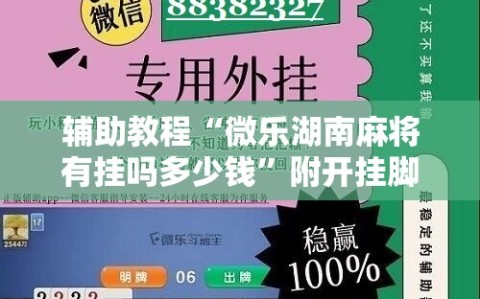 辅助教程“微乐湖南麻将有挂吗多少钱”附开挂脚本详细教程