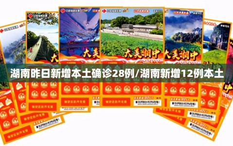 湖南昨日新增本土确诊28例/湖南新增12例本土