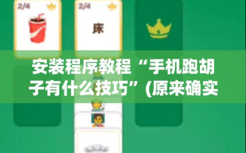 安装程序教程“手机跑胡子有什么技巧”(原来确实是有插件)