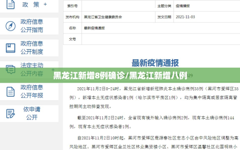 黑龙江新增8例确诊/黑龙江新增八例