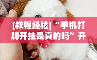 [教程经验]“手机打牌开挂是真的吗”开挂详细安装教程