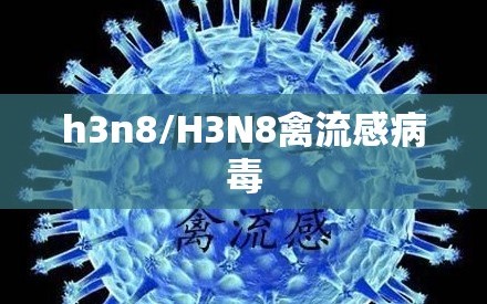 h3n8/H3N8禽流感病毒