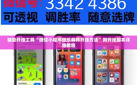 辅助开挂工具“微信小程序微乐麻将开挂方法”附开挂脚本详细教程