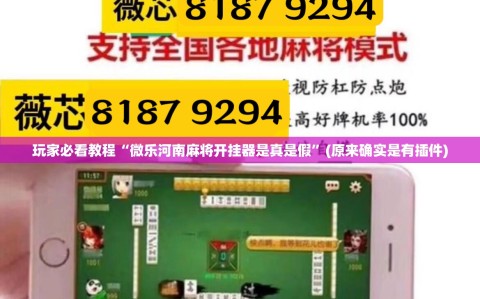 玩家必看教程“微乐河南麻将开挂器是真是假”(原来确实是有插件)