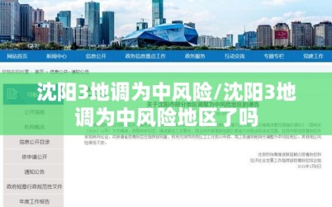 沈阳3地调为中风险/沈阳3地调为中风险地区了吗