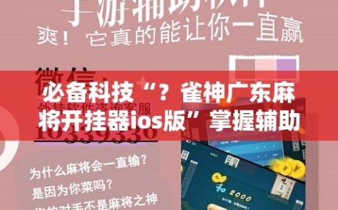 必备科技“？雀神广东麻将开挂器ios版”掌握辅助功能必胜规则