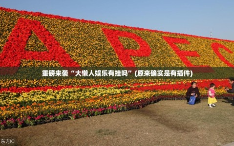 重磅来袭“大懒人娱乐有挂吗”(原来确实是有插件)