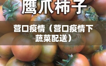 营口疫情（营口疫情下蔬菜配送）