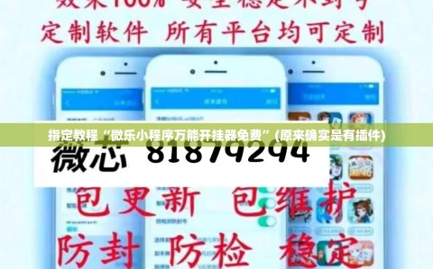 指定教程“微乐小程序万能开挂器免费”(原来确实是有插件)