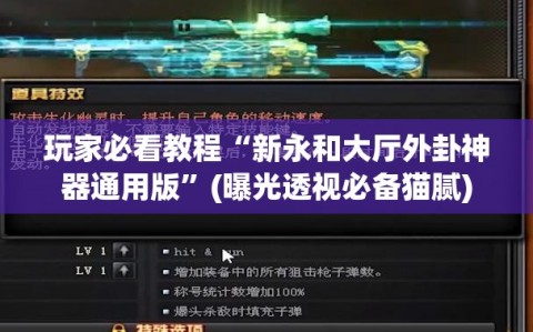 玩家必看教程“新永和大厅外卦神器通用版”(曝光透视必备猫腻)