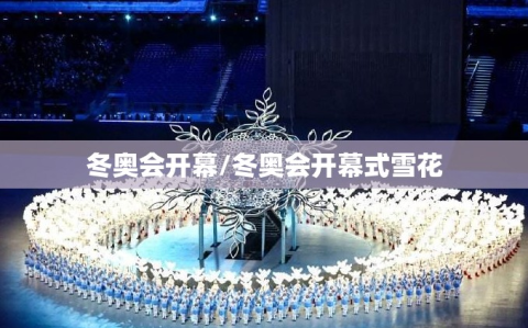 冬奥会开幕/冬奥会开幕式雪花