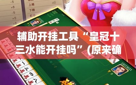 辅助开挂工具“皇冠十三水能开挂吗”(原来确实是有插件)