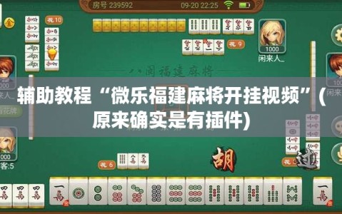 辅助教程“微乐福建麻将开挂视频”(原来确实是有插件)