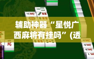 辅助神器“星悦广西麻将有挂吗”(透视挂)辅助透视教程