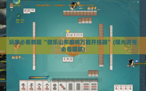 玩家必看教程“微乐山东麻将万能开挂器”(曝光透视必备猫腻)