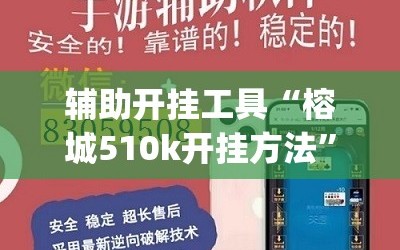 辅助开挂工具“榕城510k开挂方法”(透视挂)辅助透视教程