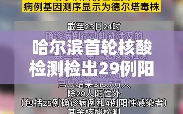 哈尔滨首轮核酸检测检出29例阳性/哈尔滨首轮核酸检测检出29例阳性患者
