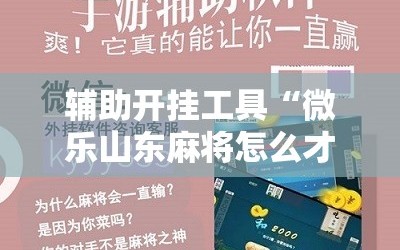 辅助开挂工具“微乐山东麻将怎么才能常赢”附开挂脚本详细教程