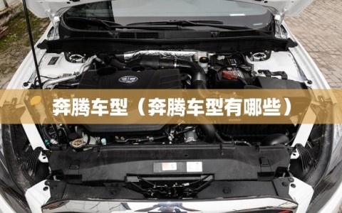 奔腾车型（奔腾车型有哪些）