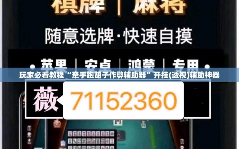 玩家必看教程“牵手跑胡子作弊辅助器”开挂(透视)辅助神器