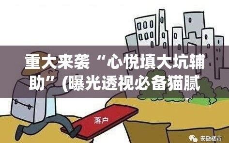 重大来袭“心悦填大坑辅助”(曝光透视必备猫腻)