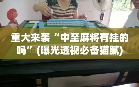 重大来袭“中至麻将有挂的吗”(曝光透视必备猫腻)