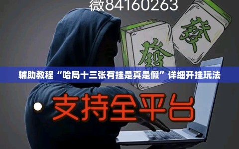 辅助教程“哈局十三张有挂是真是假”详细开挂玩法