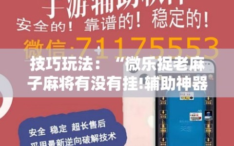 技巧玩法：“微乐捉老麻子麻将有没有挂!辅助神器插件下载