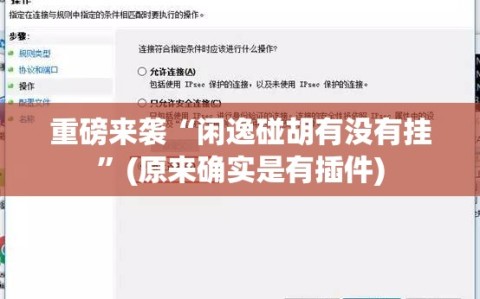 重磅来袭“闲逸碰胡有没有挂”(原来确实是有插件)