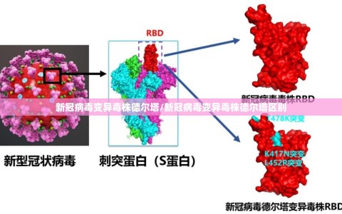 新冠病毒变异毒株德尔塔/新冠病毒变异毒株德尔塔区别