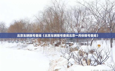 北京车辆限号查询（北京车辆限号查询北京一月份限号查询）