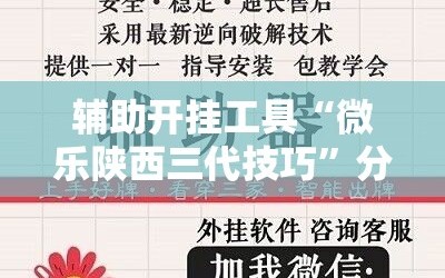 辅助开挂工具“微乐陕西三代技巧”分享装挂详细步骤