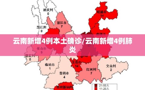 云南新增4例本土确诊/云南新增4例肺炎