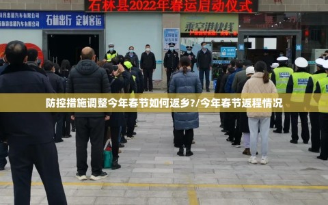 防控措施调整今年春节如何返乡?/今年春节返程情况