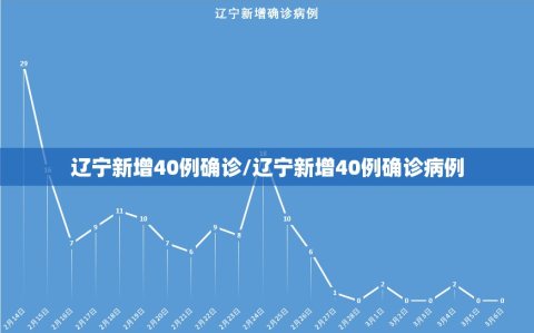 辽宁新增40例确诊/辽宁新增40例确诊病例