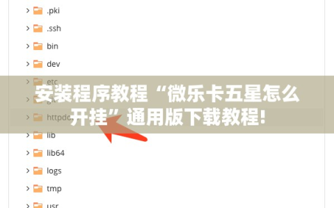 安装程序教程“微乐卡五星怎么开挂”通用版下载教程!