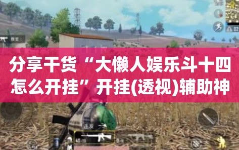 分享干货“大懒人娱乐斗十四怎么开挂”开挂(透视)辅助神器