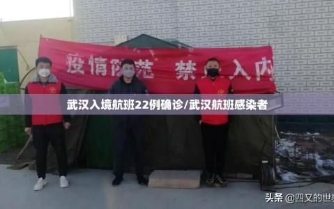 武汉入境航班22例确诊/武汉航班感染者